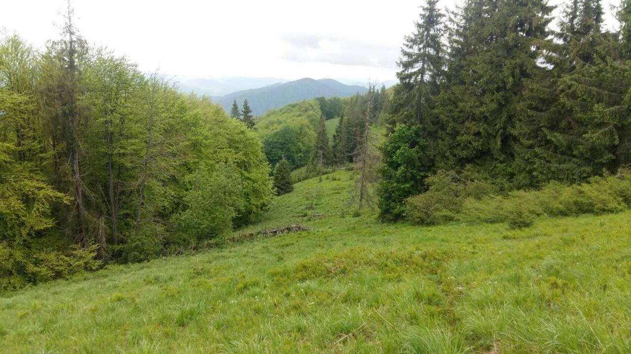 Лісовий Маєток Slavske Exterior photo